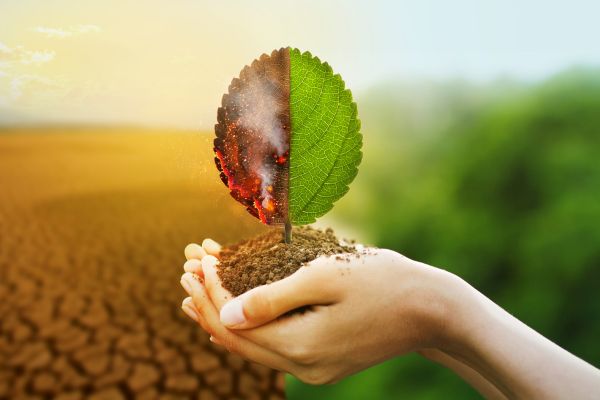 climate change insurance impact